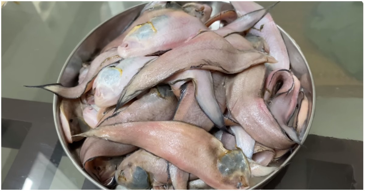 Variety Manthal Fish Recipe