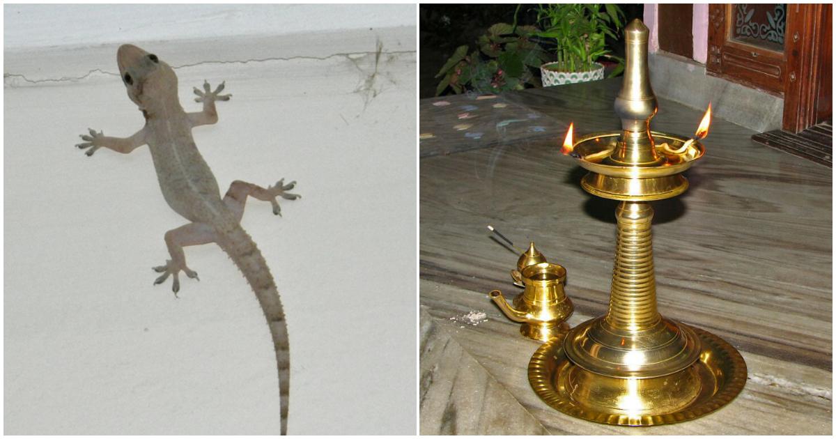 Lizards at Home at evening astrology