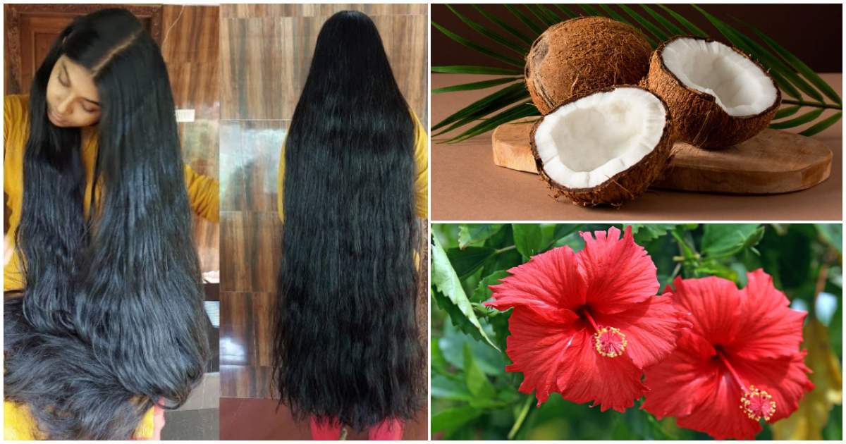 Coconut Hibiscus Hair Shampoo making