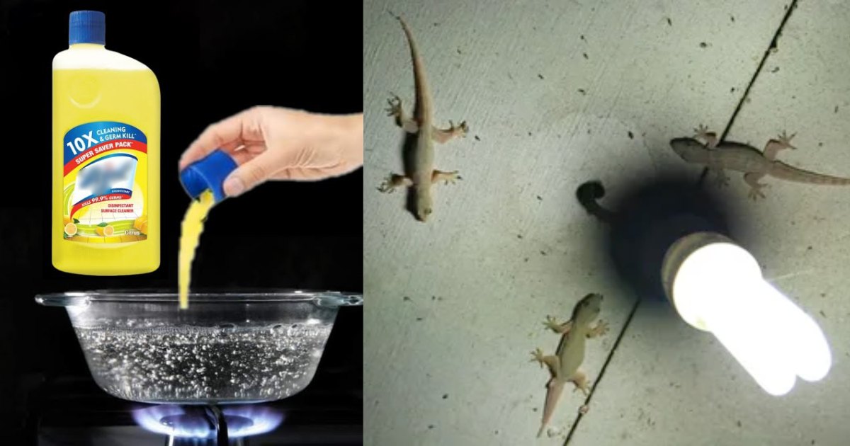 Easy Lizards Repellent Liquids
