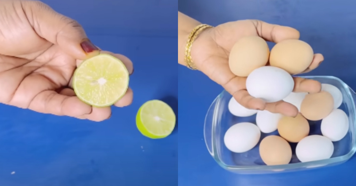 Easy tips to Identify real eggs