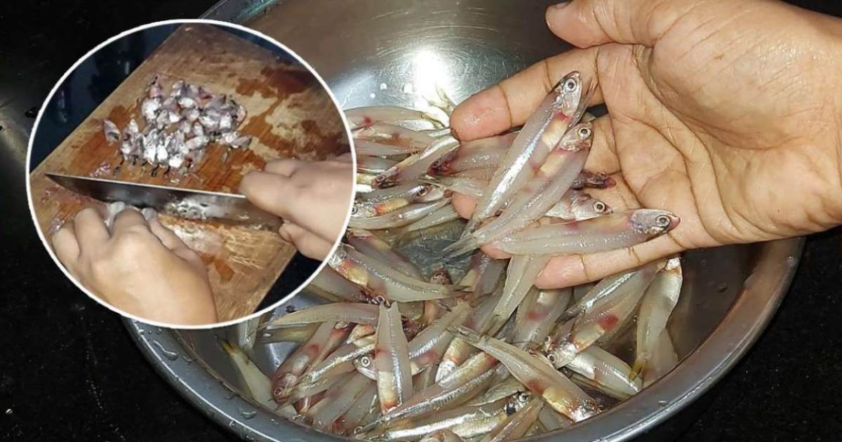 Netholi Kozhuva fish Easy cleaning tips