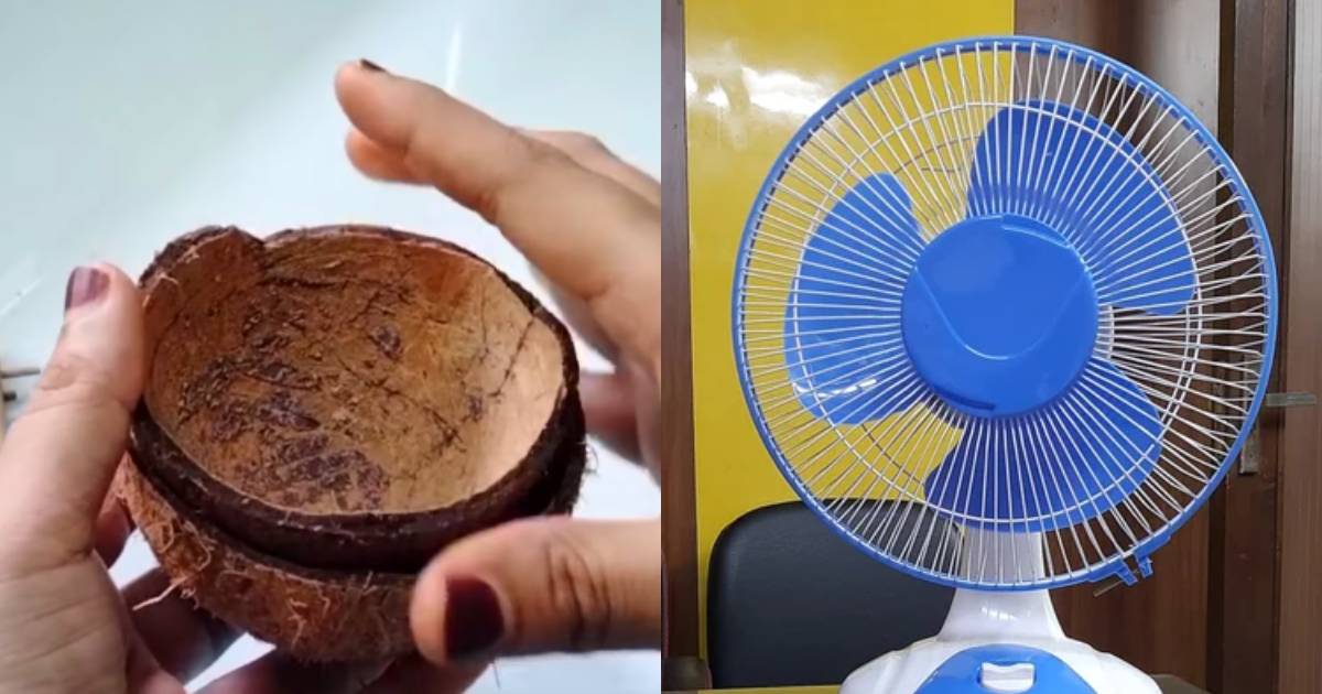 Coconut shell to reduce room temperature