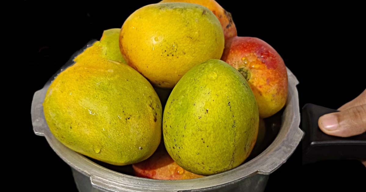 Tasty Homemade Mango Frooti Recipe