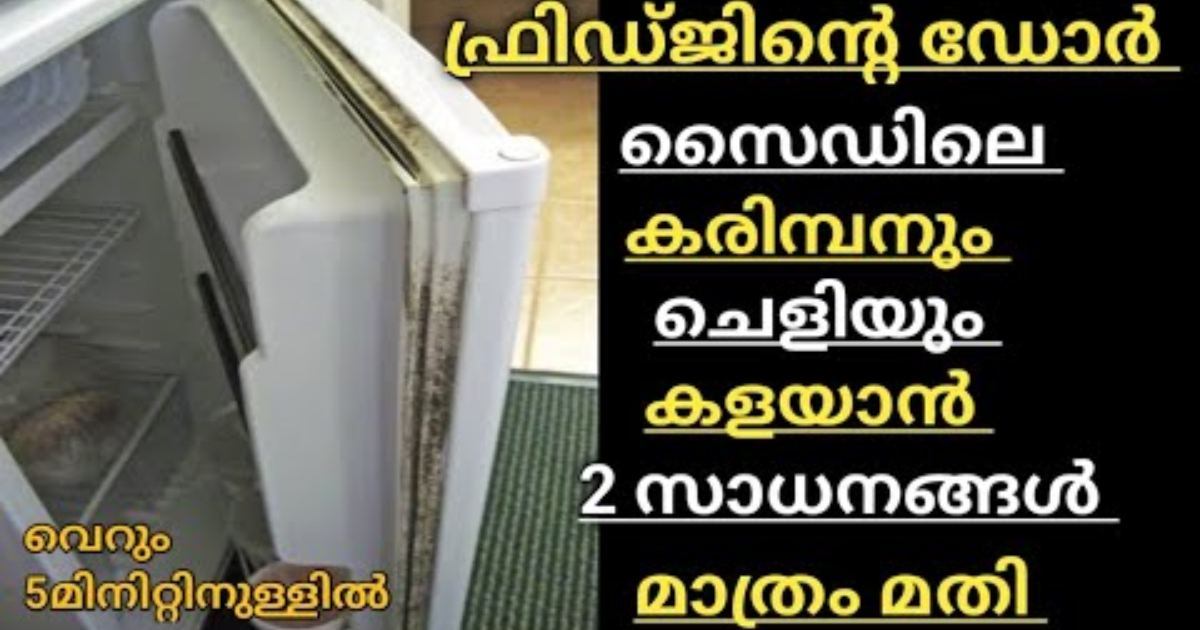 Fridge Door Side Cleaning Trick