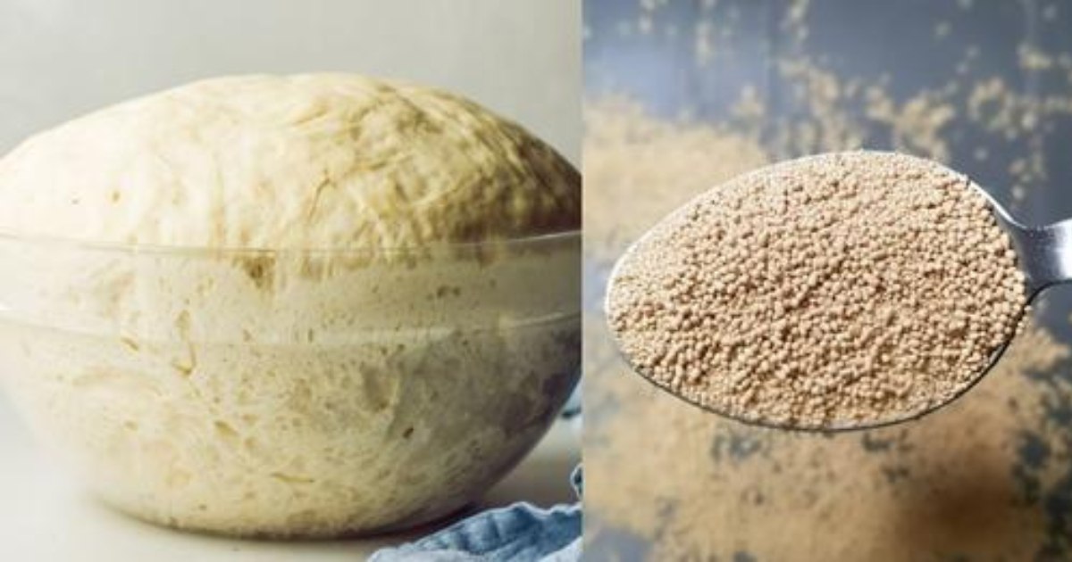 Homemade Yeast Easy Recipe