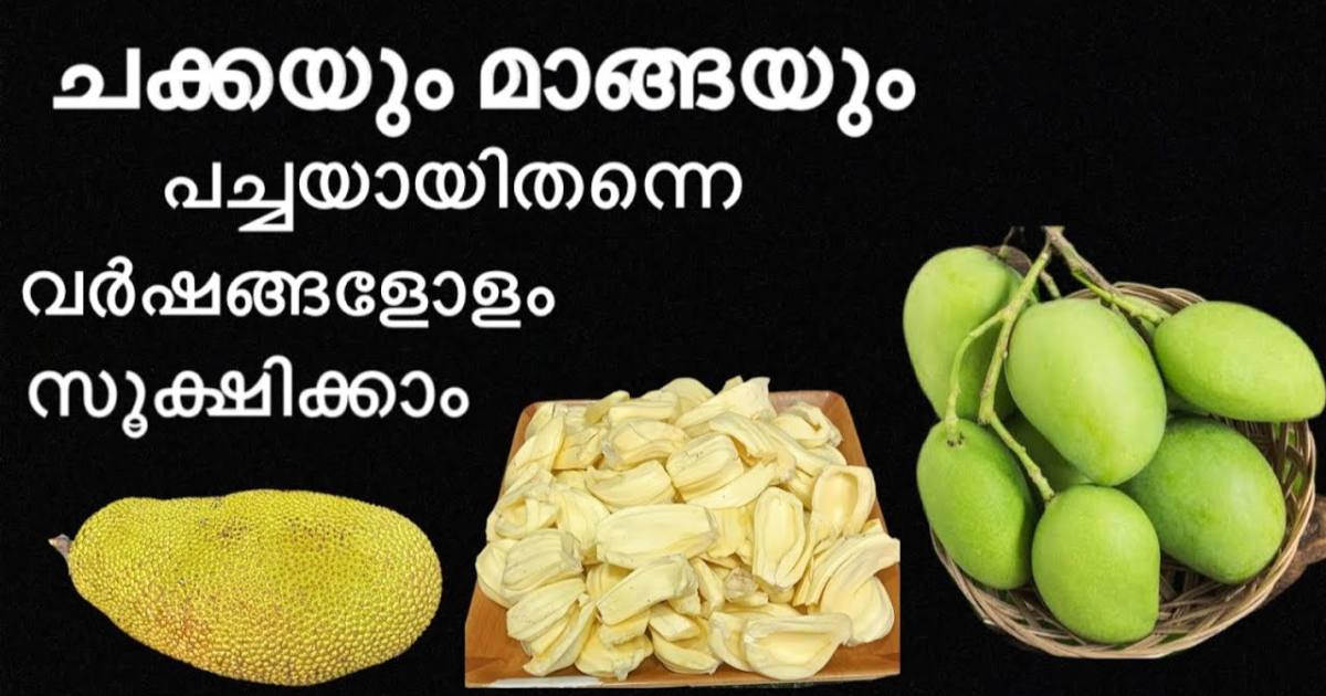 Jackfruit and mango storing tips