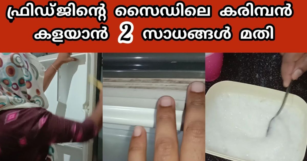 how to clean fridge door washer