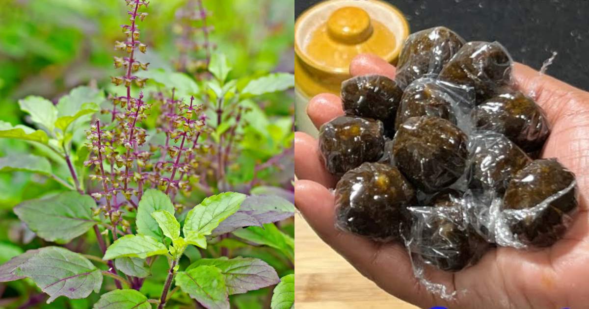 Homemade sweet for cough