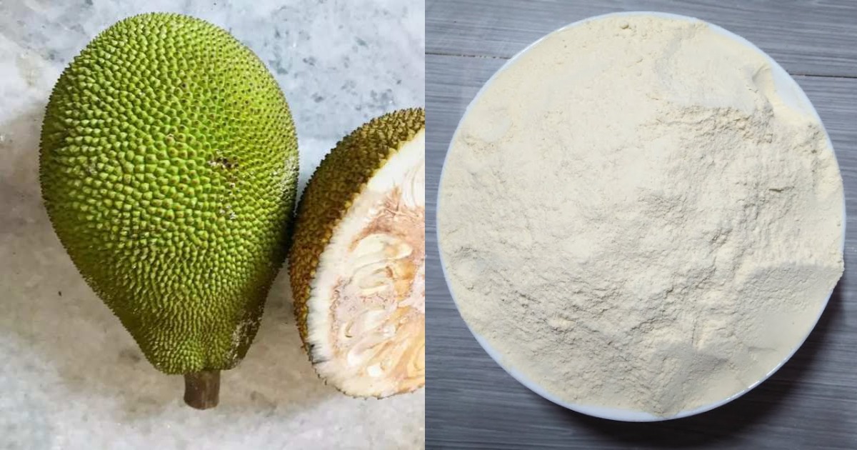 Jackfruit Powder Making Tip