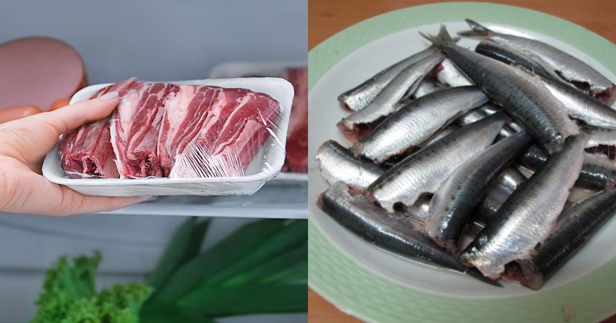 Meat and Fish storing in fridge