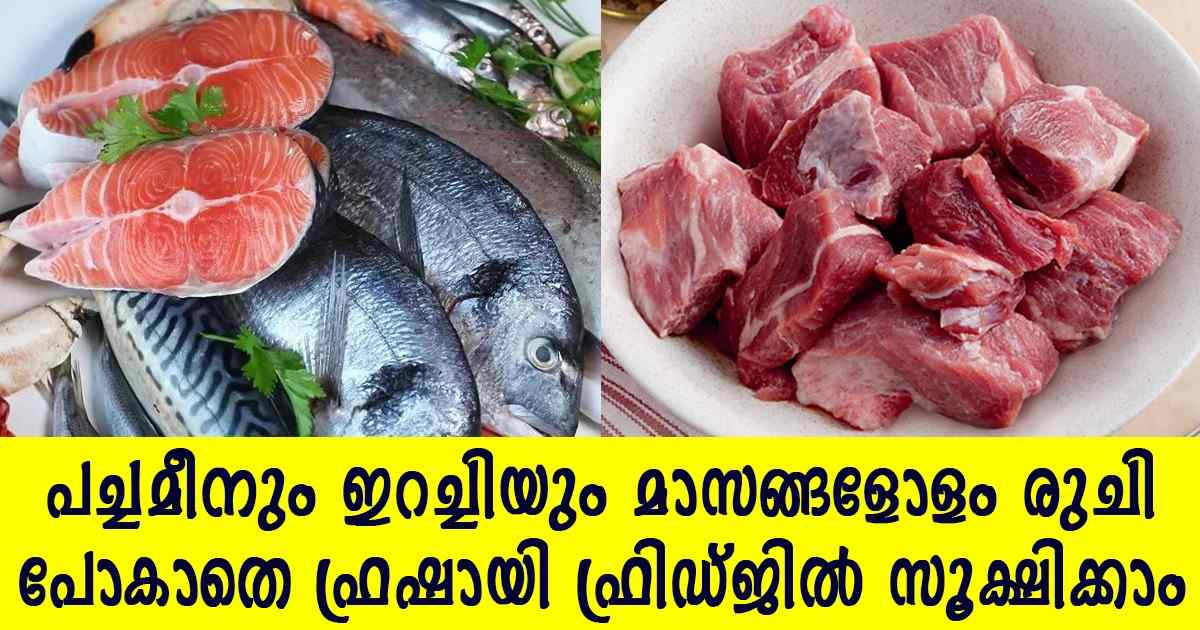 Fish and Meat Storing tips