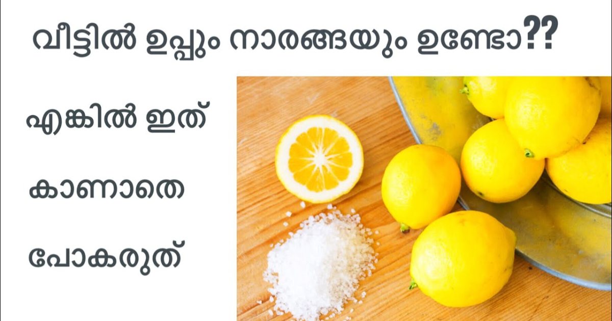 Lemon Salt easy tips