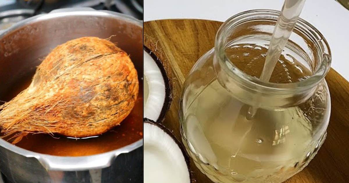 Coconut Oil Making in Cooker