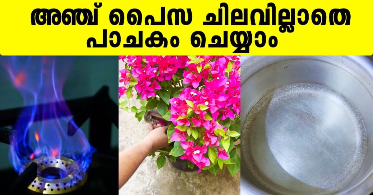 Bio Gas Plant making tips