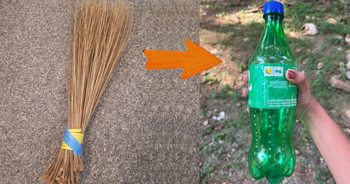 Dried leaves cleaning ideas