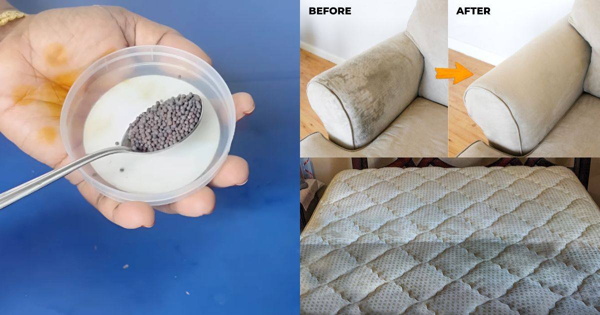 Easy Sofa cleaning tip