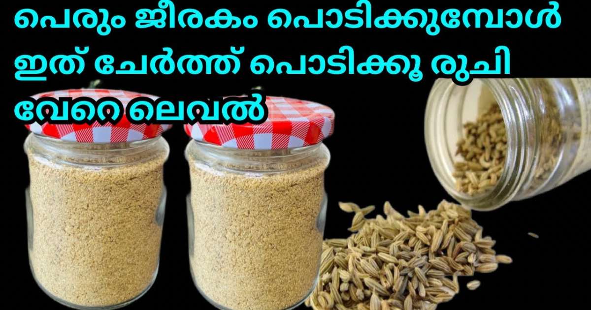Fennel Seeds powder Making
