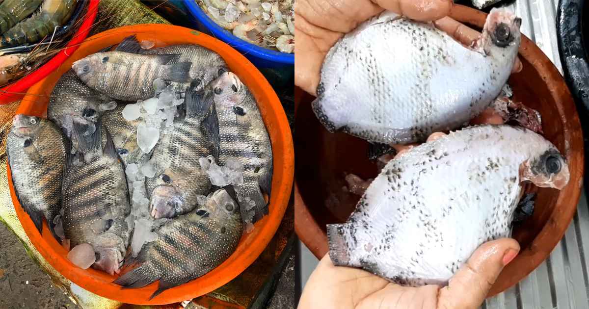 Fish Cleaning Trick Using Lemon