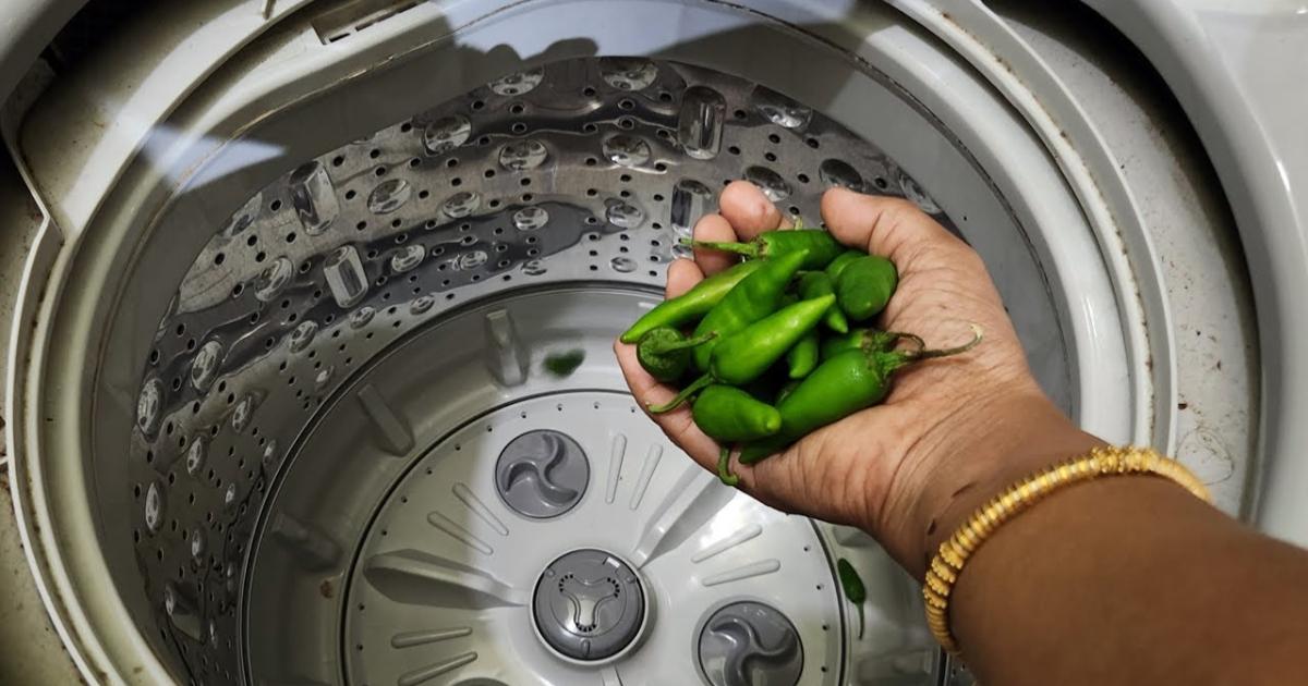 Green Chilly tips in Washing Machine