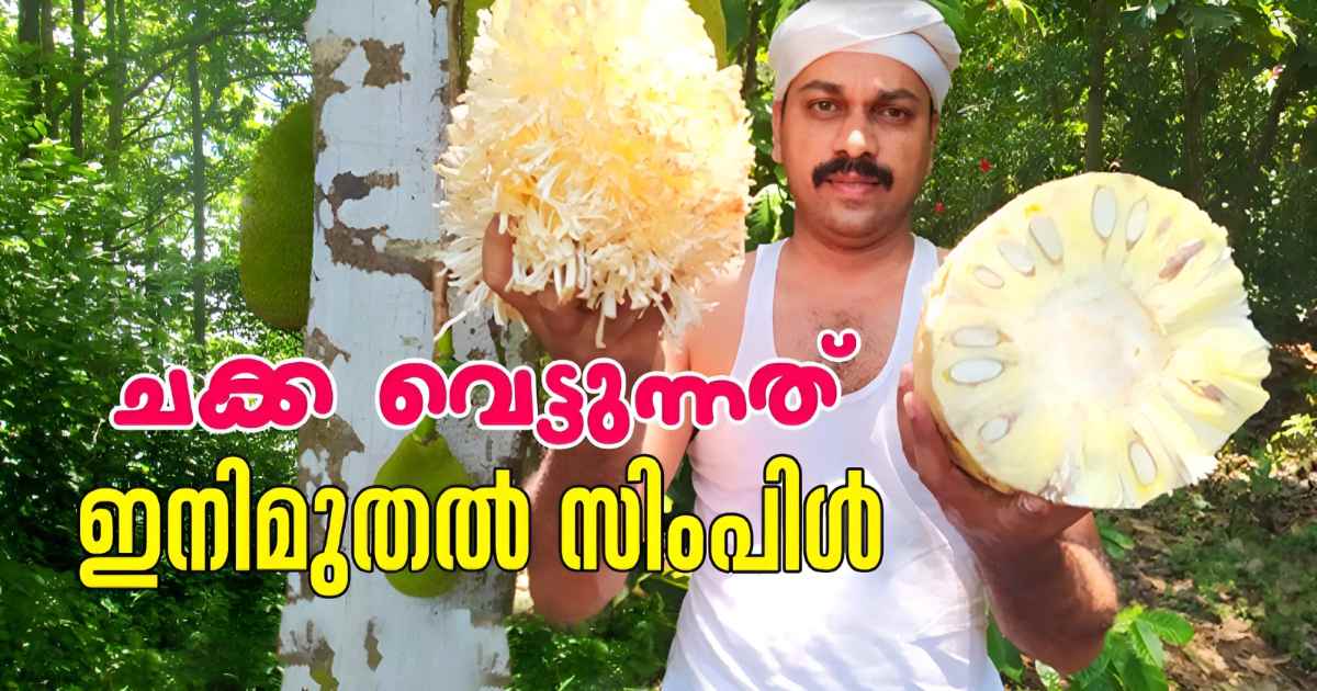 How To Cut Jackfruit Easily