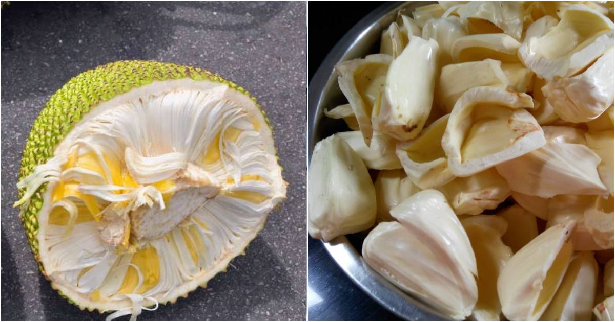 Jackfruit Storing Easy ideas