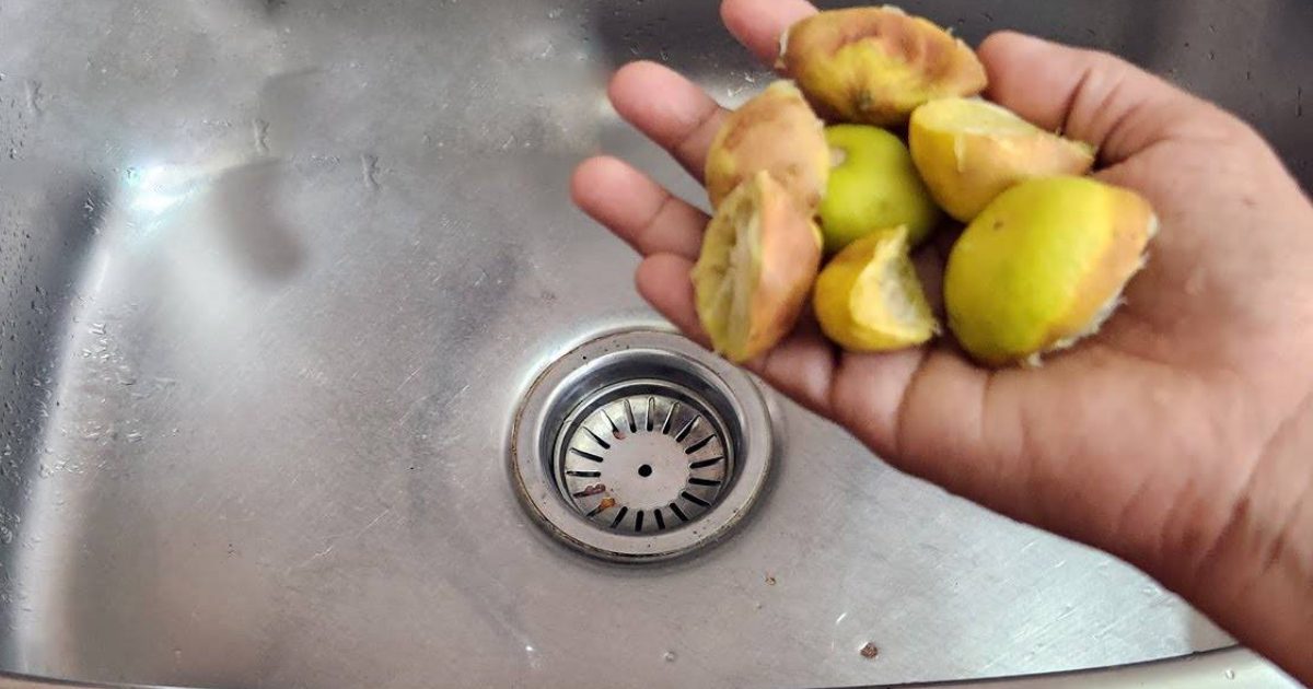 Lemon peels easy tricks