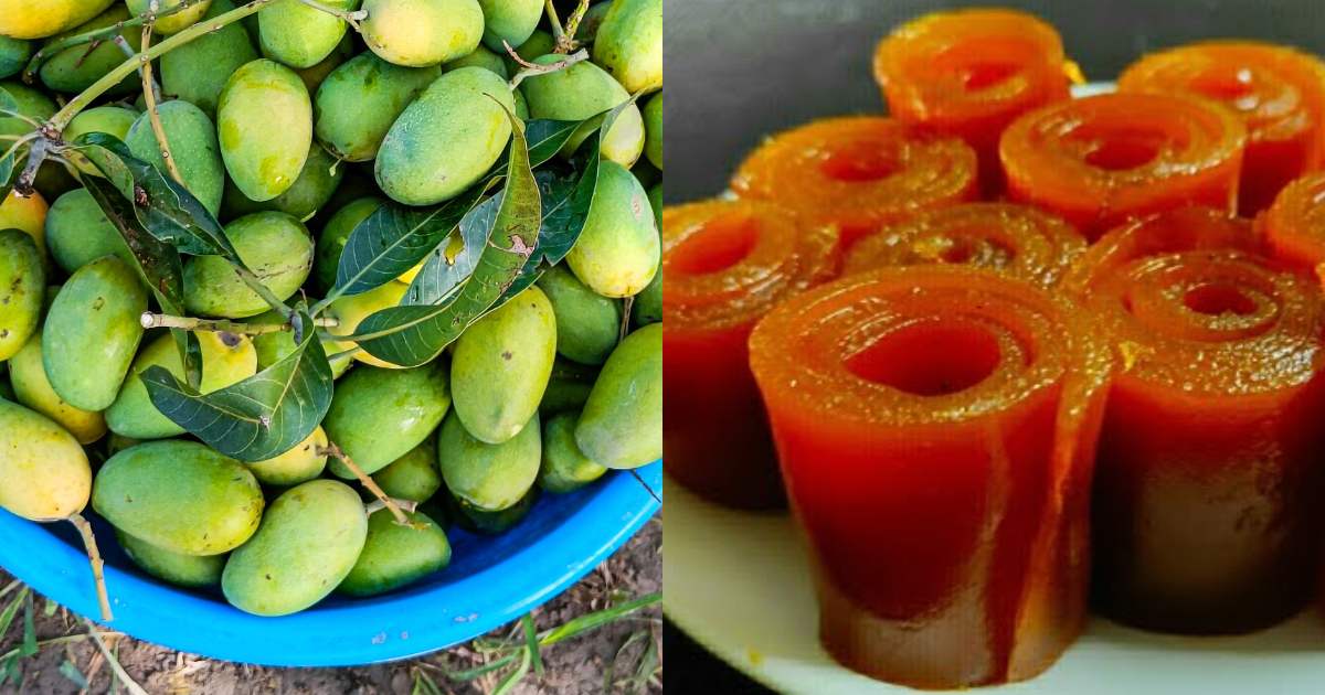 Manga thera Mango storing