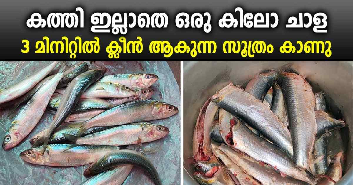 Mathi Fish Cleaning tricks