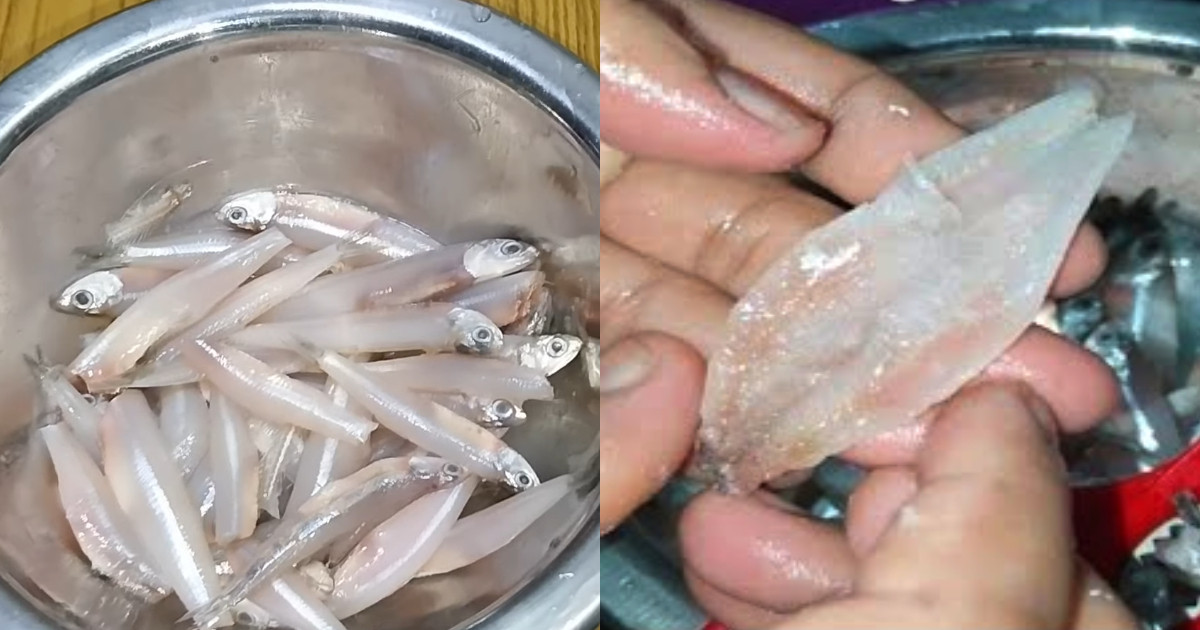 Nethili Fish Cleaning