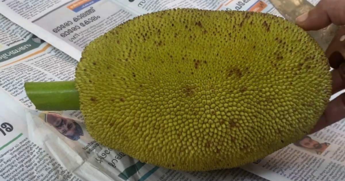 Tender Jackfruit cleaning tip