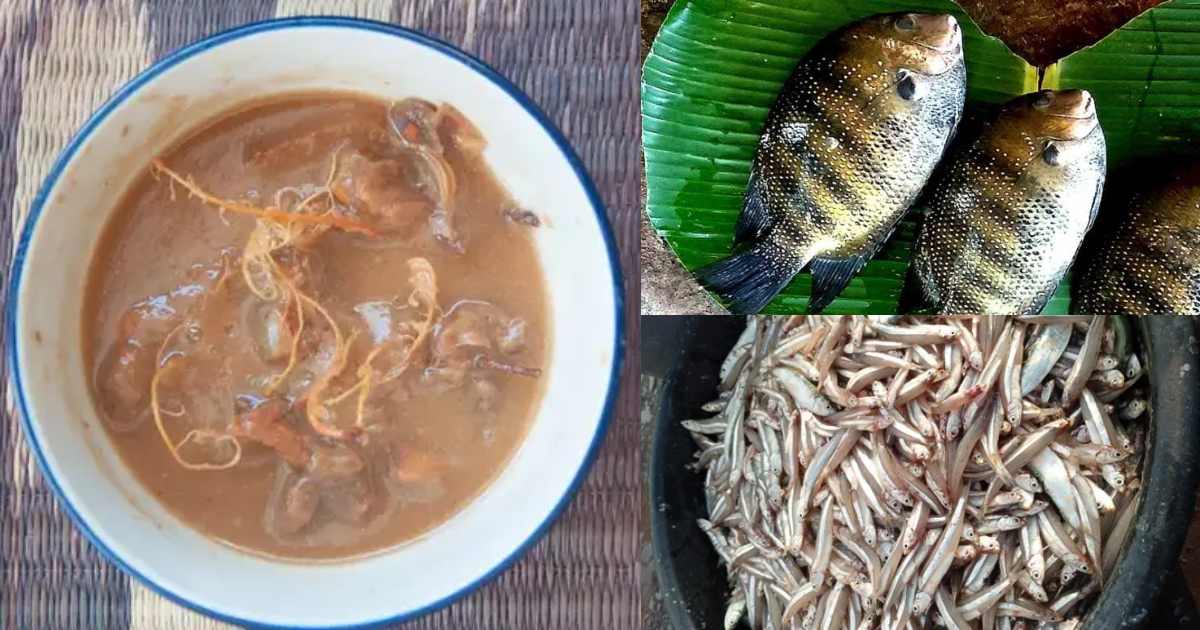 Tips to clean fish using tamarind