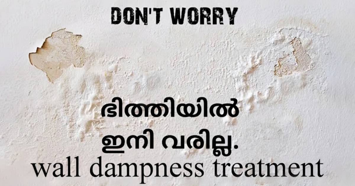 Easy Wall Dampness Treatment