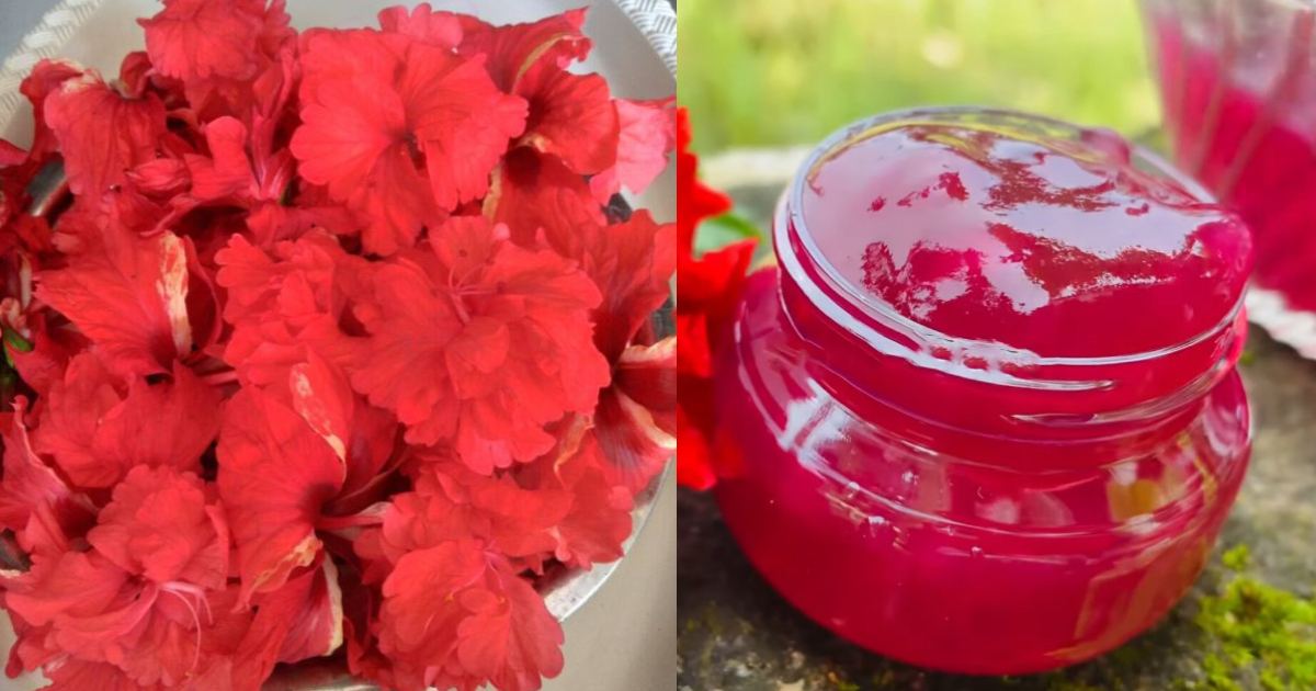 Fast hair growth using hibiscus gel