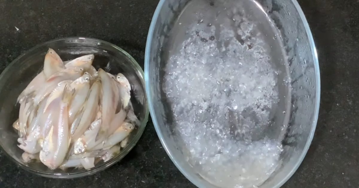 Fish Scales Removing