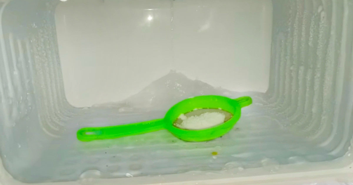 Fridge Cleaning Using Stainer