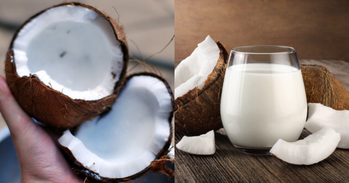 Tip To Make Coconut milk easily