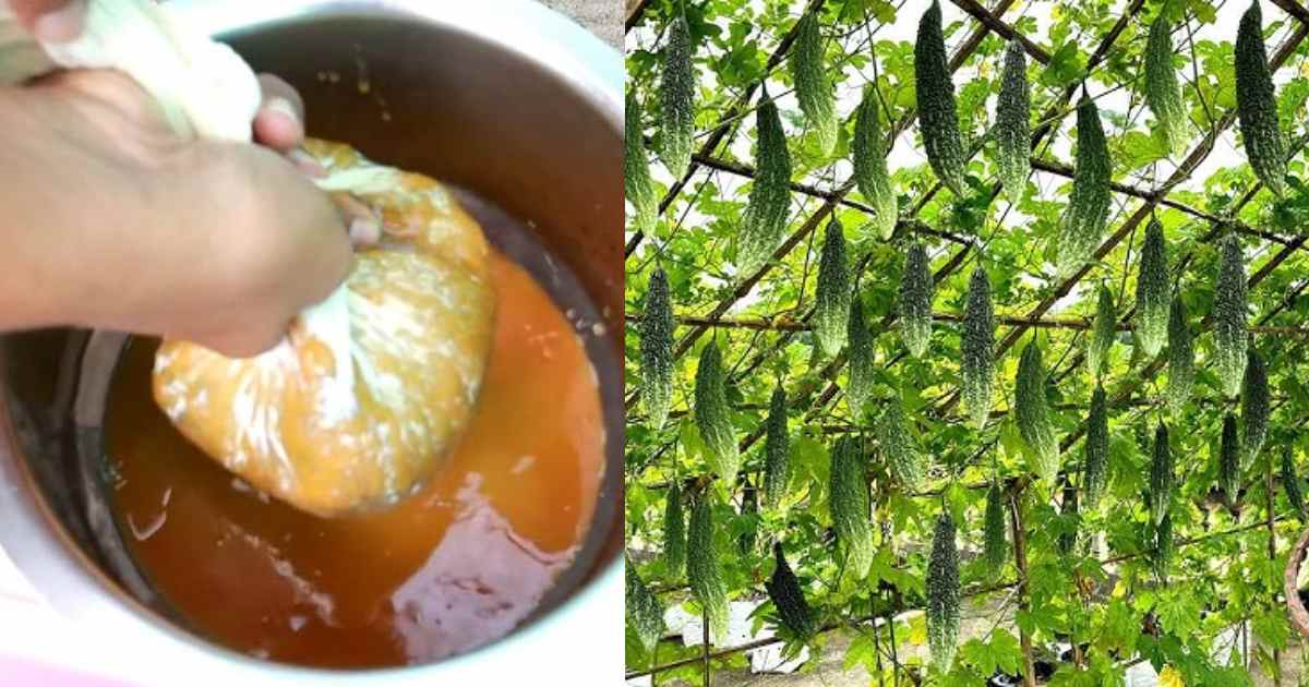 Banana Fertilizers For vegetable plants
