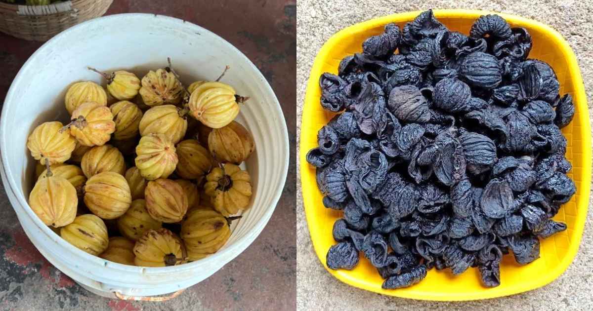 Dried Kudampuli for dishes