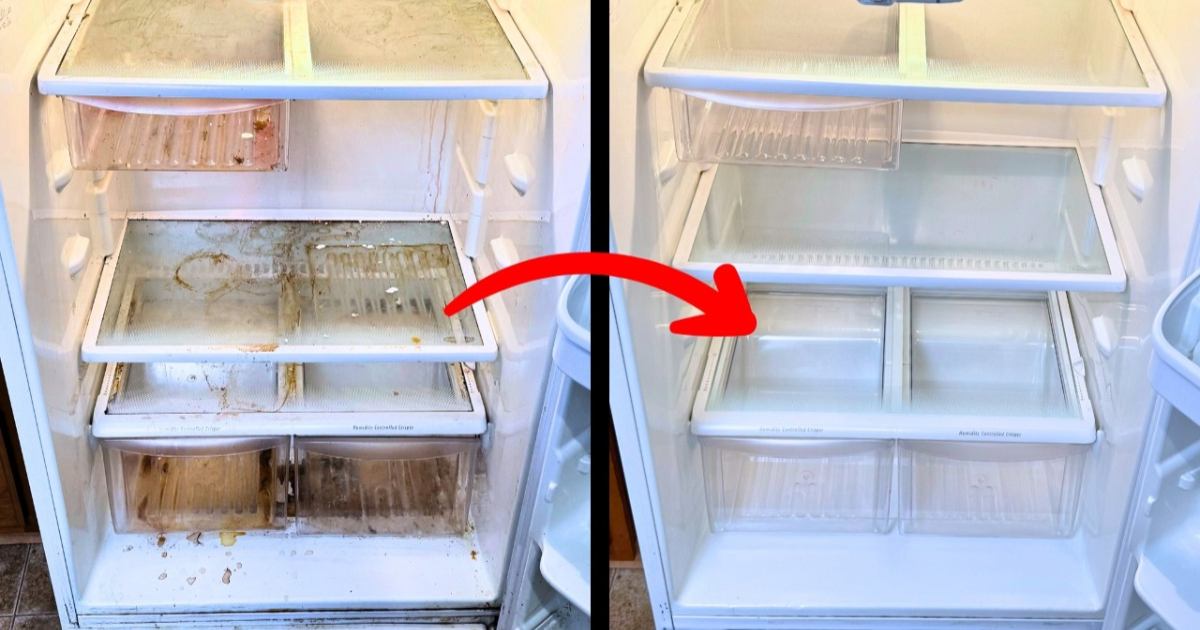 Easy simple fridge Cleaning Tips