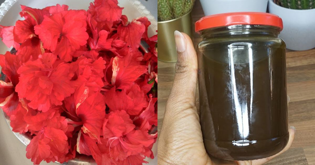 Hibiscus Hair Dye making tip