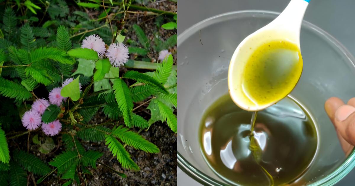 Home Remedy For Toothache