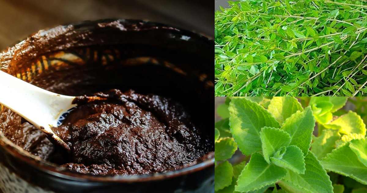 Natural Hair dye using panikkurka & mylachi
