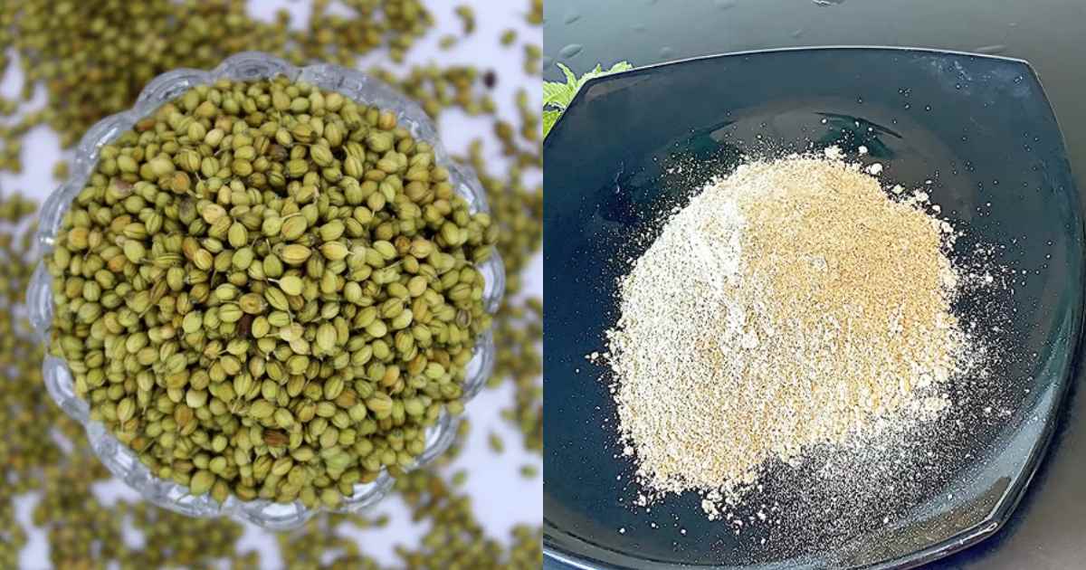 Secret Coriander Powder