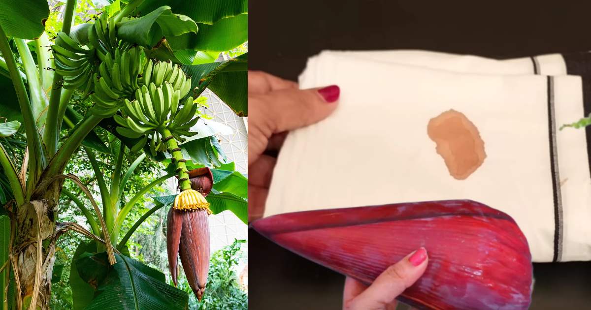 To remove banana stain