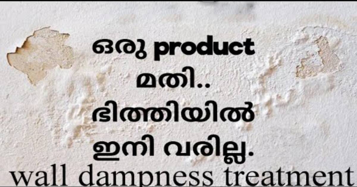 wall dampness treatment solution