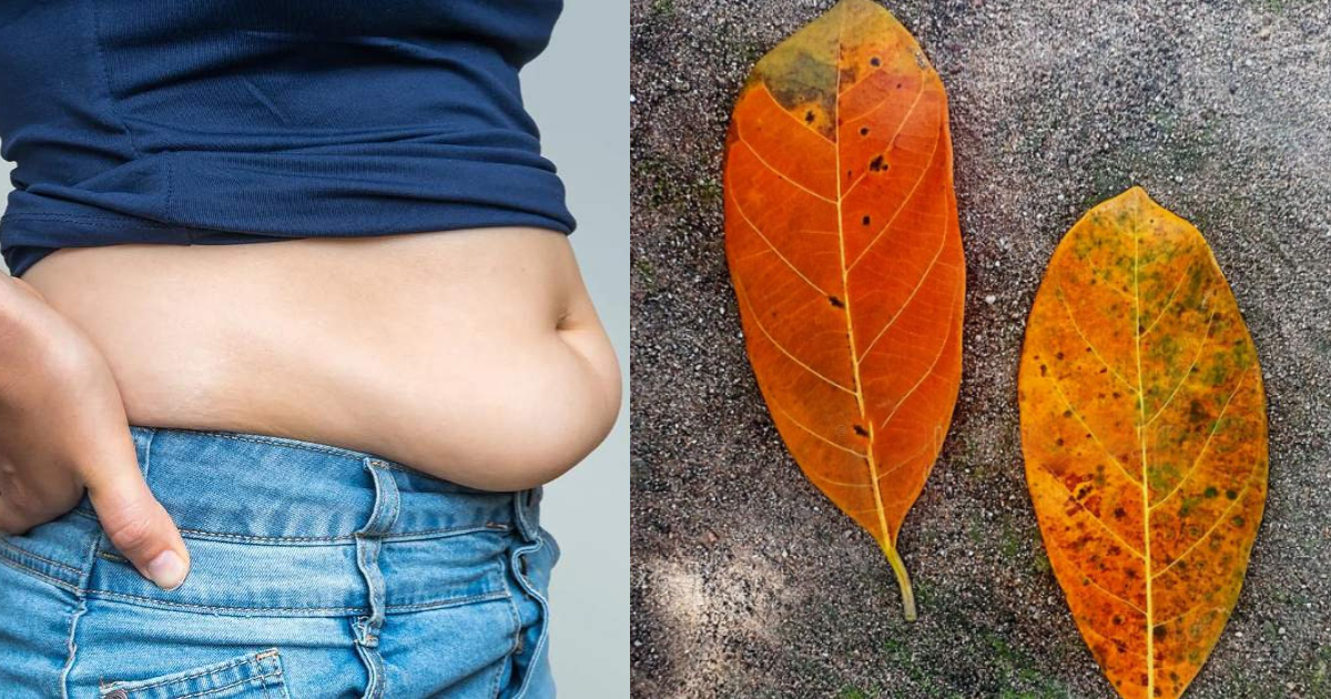 Belly Fat Reducing using plavila