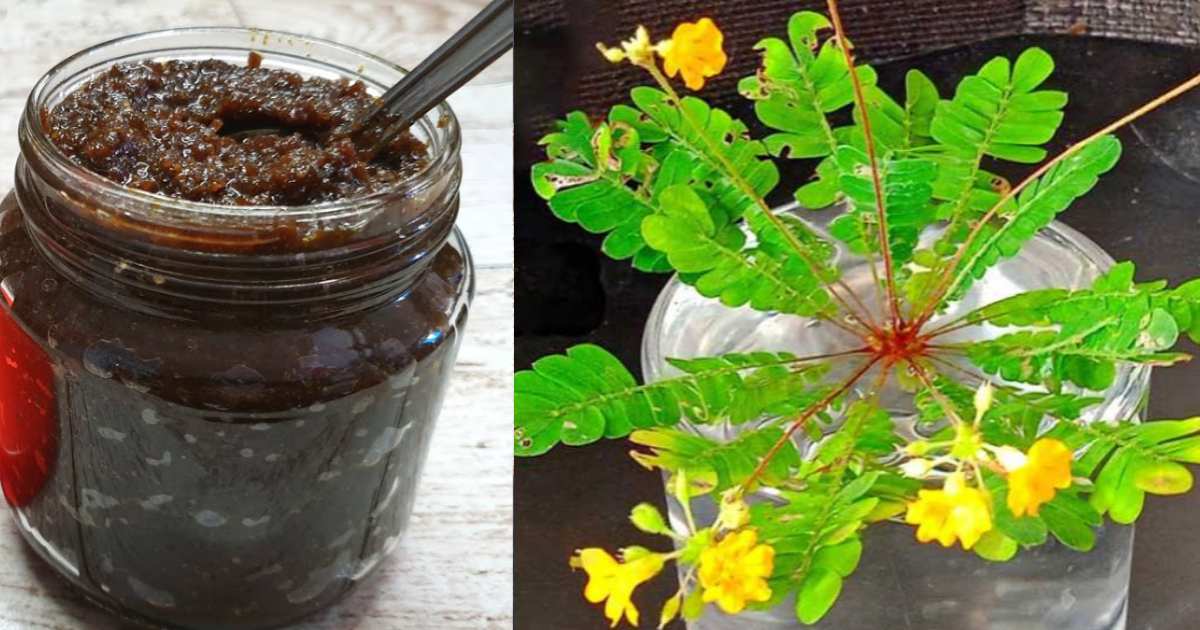 Benefits of Mukkutti Lehyam