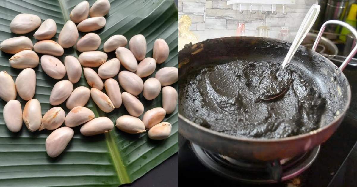 Jackfruit seeds Natural Hair Dye