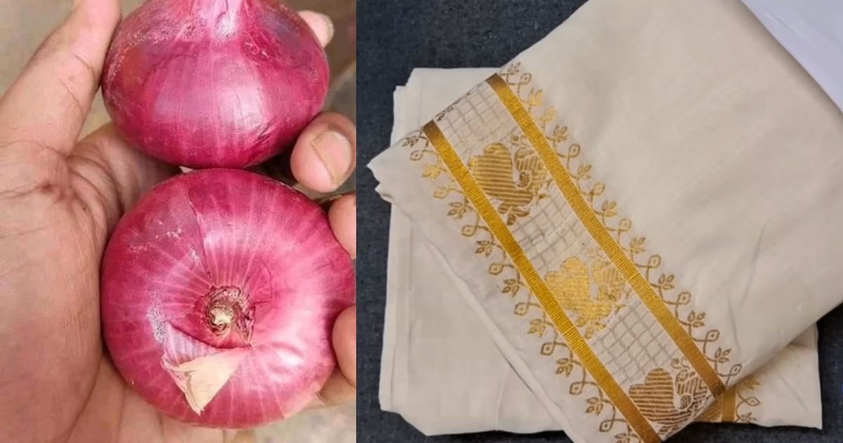 Setmund reusing tips using onion